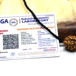 Certified Shiva pendant with 3 Mukhi Rudraksha mala bead, Agni Surya yoga jewelry, big Rudraksh choker, Protection jewellery, Hindu necklace