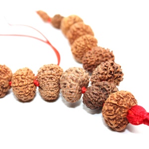 Può includere: Un mala o rosario fatto di perline di legno marrone e marrone chiaro infilate su un cordoncino rosso con un fiocco.