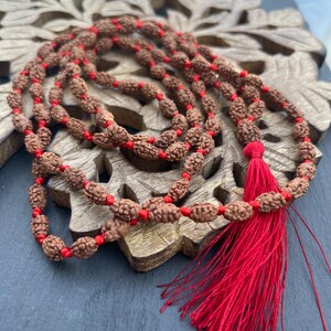 2 Mukhi Rudraksha Mala, 1081 Genuine Rudraksha beads, Long Tassel Mala, Beautiful Mala, Natural beads, Rudraksh Mala, Japa Prayer beads image 3