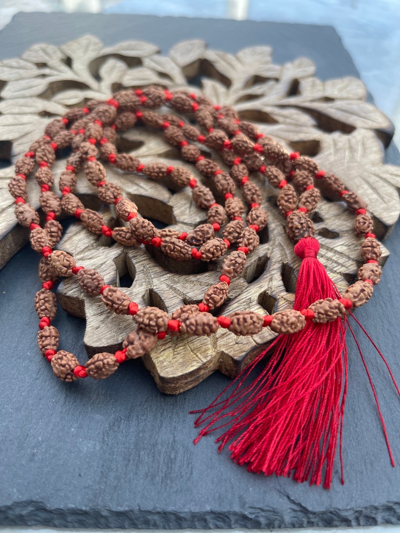 2 Mukhi Rudraksha Mala, 1081 Genuine Rudraksha beads, Long Tassel Mala, Beautiful Mala, Natural beads, Rudraksh Mala, Japa Prayer beads image 3