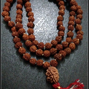 Rudraksha Mala 108 Beads Japa Rosary with Nepalese Rudraksh GURU 2 or 3 or 4 or 5 or 6 or 7 BEAD MUKHI Hand made premium mala Meditation 3 FACE RUDRAKSHA