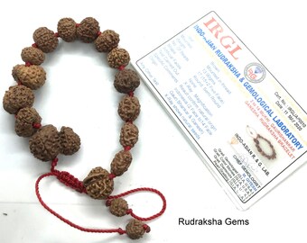 1 ～ 14 ムキ、ガネーシャ、ガウリ シャンカール ルドラクシャ