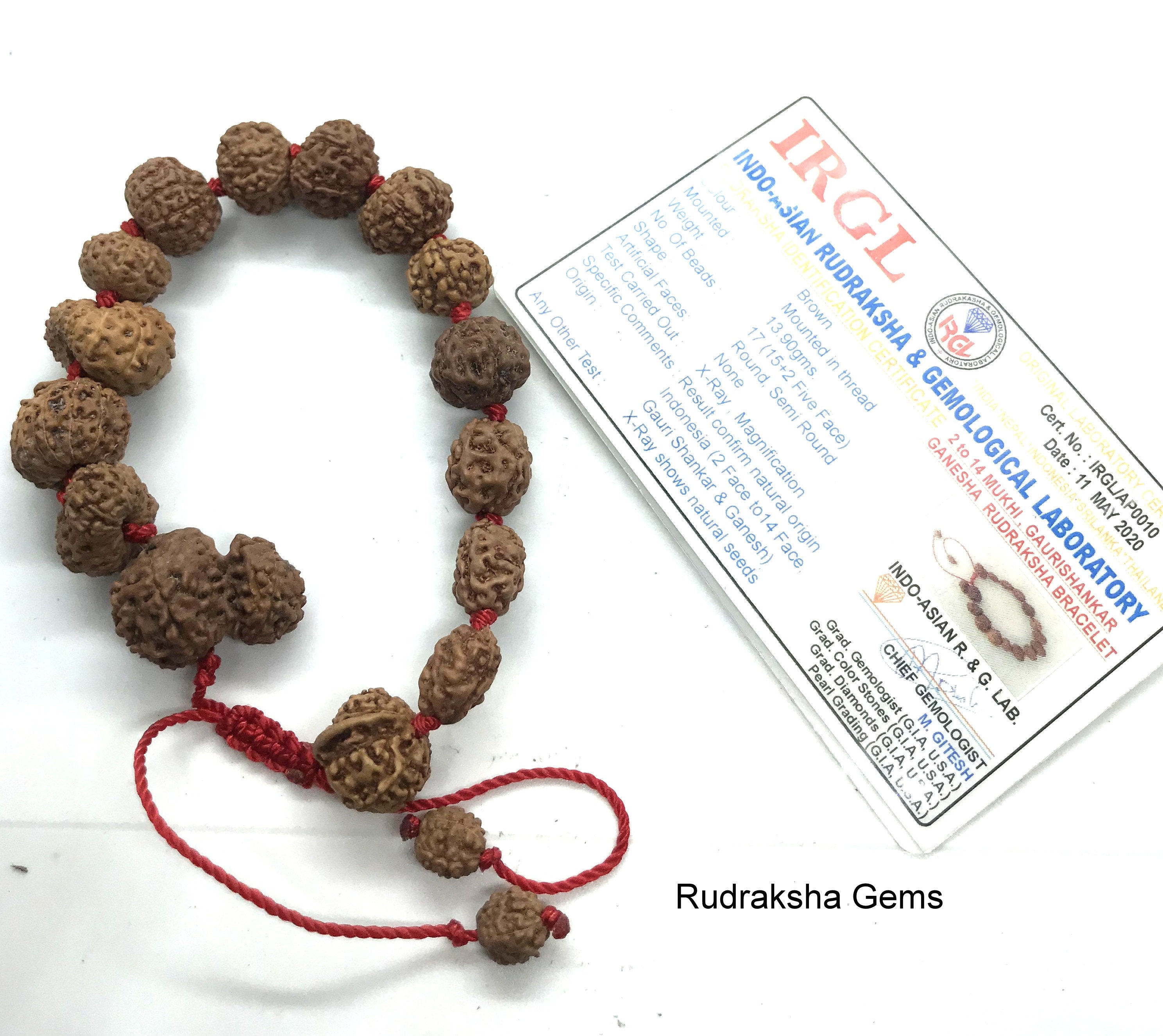 Rudraksha Siddha Bracelet 1 Mukhi to 14 Mukhi Rudraksha Java Origin in Pure  Sterling Silver - Etsy