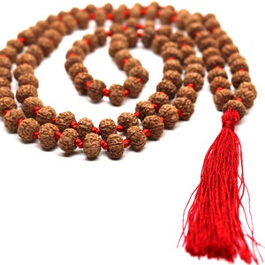 6 Mukhi Rudraksha Mala, 108+1 Genuine Six facet Rudraksha beads, Long Tassel Mala, Beautiful Mala, Natural beads Japa Mala Yoga Prayer beads