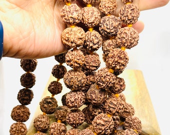 5 Facet Five Mukhi collector Rudraksha Mala -  Kantha  Mala 108+1 Nepalese Collector Rudrraksh Japa Beads - Meditation Shiva Rosary Rare