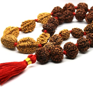 Rudraksh Rudraksha  2 3 4 5 6 Mukhi 30 + 1 Beads Mala Necklace -  Rudraksha Mala Neecklace - Genuine Beads  - Premium Thick Long Tassel Mala