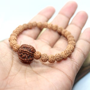 6 mukhi Rudraksha Bracelet , ALL 6 FACE Rudraksha BEADS Elastic Bracelet, Genuine Rudraksha Beads, Six Face Shiva Rudraksh, Spiritual