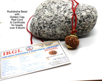 COLLANA RUDRAKSHA PERSONALIZZATA, perline Rudraksha mukhi personalizzate, Rudraksha certificato, da 1 a 14 mukhi, collana di perline Gauri Shankar Rudraksha, 7 mukhi