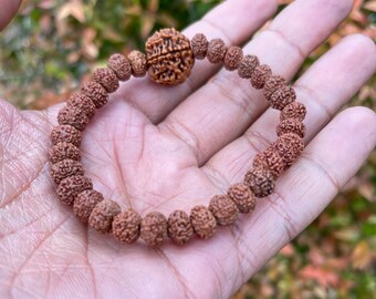 7 ムキ ルドラクシャ エラスティック ブレスレット、7 面ルドラクシャ