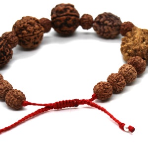 Rudraksh Rudraksha 2 3 4 5 6 Mukhi Beads Mala stretch cord bracelet - Rudraksha Bracelet - Genuine Beads - Rudraksha Guru bead bracelet