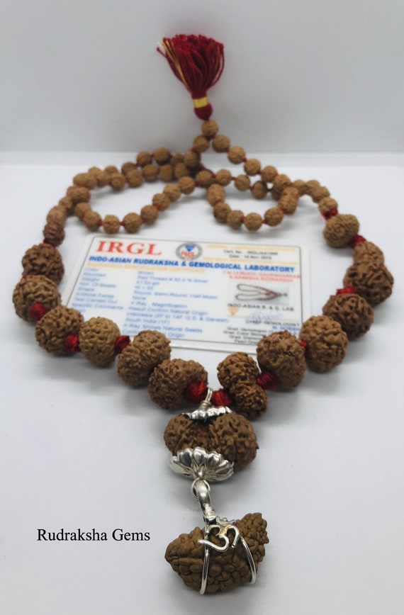 14 Mukhi Rudraksha Nepal Silver Bracelet in Snake Chain 28mm-29mm at  Rudraksha-Gemstone