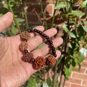 Rudraksha bracelet with 2 3 4 5 6 Mukhi Genuine Beads Rudraksh Wrist band bracelet, Rosewood Bracelet, Custom Rudraksha Guru bead bracelet