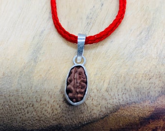 One mukhi bead in pure silver pendant From Indonesia, 1 mukhi Rudraksha pendant in pure silver, Small Rudraksha oval bead in silver caps