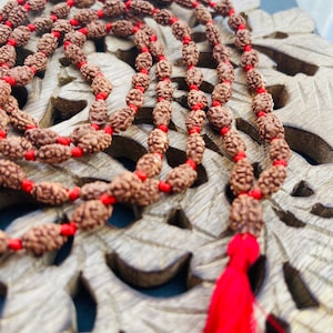 2 Mukhi Rudraksha Mala, 1081 Genuine Rudraksha beads, Long Tassel Mala, Beautiful Mala, Natural beads, Rudraksh Mala, Japa Prayer beads image 1