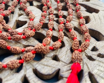 2 Mukhi Rudraksha Mala, 108+1 Genuine Rudraksha beads, Long Tassel Mala, Beautiful Mala, Natural beads, Rudraksh Mala, Japa Prayer beads