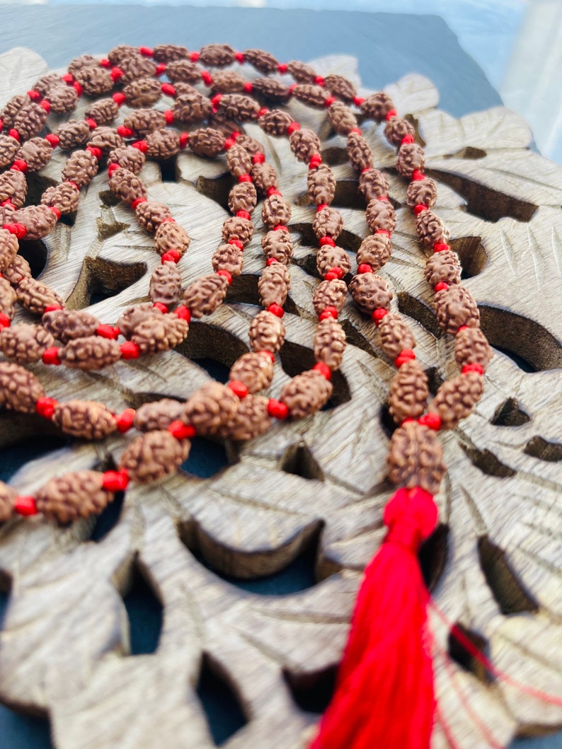 2 Mukhi Rudraksha Mala, 1081 Genuine Rudraksha beads, Long Tassel Mala, Beautiful Mala, Natural beads, Rudraksh Mala, Japa Prayer beads image 1