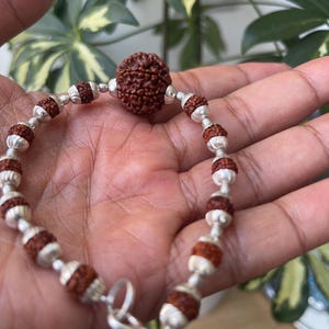 7 mukhi Rudraksha Bracelet, 7 face Rudraksha Bracelet, Genuine Rudraksha nepalese collector beads, 5 mukhi silver cap, wire wrapped necklace