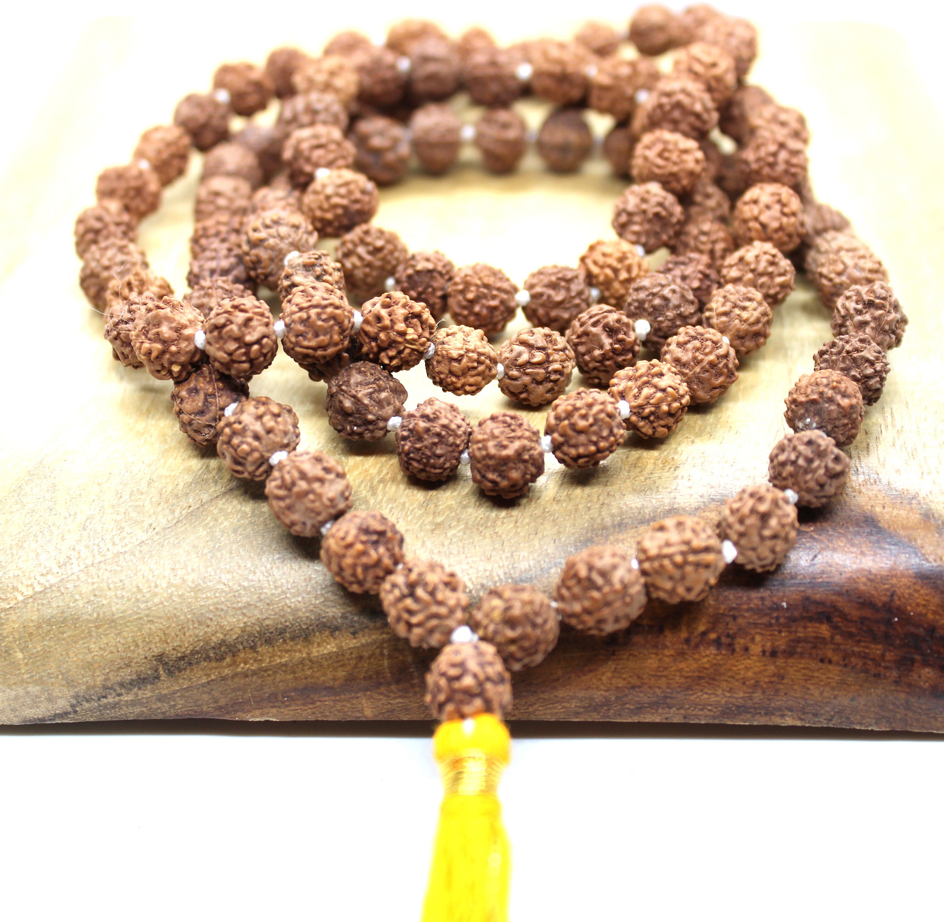 5 Mukhi Nepali Rudraksha Mala Beads Tamaño 20-22MM ~ Original