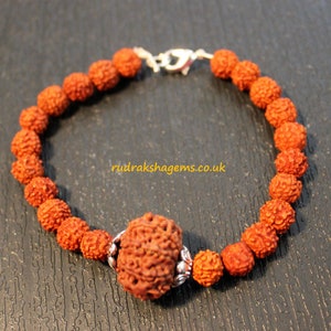 Puede incluir: Una pulsera hecha de cuentas de color marrón rojizo, conectadas por un cierre plateado. La pulsera presenta una cuenta más grande y texturizada en el centro, con cuentas más pequeñas a ambos lados. El texto "rudrakshagems.co.uk" es visible.