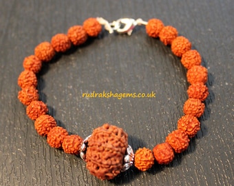May include: A bracelet made of reddish-brown beads, connected by a silver clasp. The bracelet features a larger, textured bead in the center, with smaller beads on either side. The text "rudrakshagems.co.uk" is visible in the image.