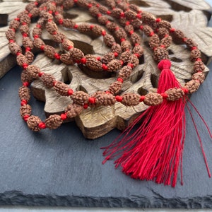 2 Mukhi Rudraksha Mala, 1081 Genuine Rudraksha beads, Long Tassel Mala, Beautiful Mala, Natural beads, Rudraksh Mala, Japa Prayer beads image 4