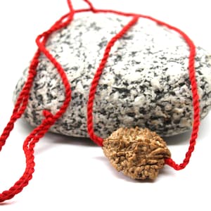 2 Mukhi Rudraksha bead pendant, 2 Mukhi Nepalese Rudraksha, Two Face Rudraksh Indian  Bead, 2 Mukhi Rudraksha Necklace, Do mukhi rudraksha