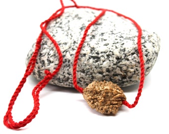 2 Mukhi Rudraksha Pendant, Nepalese Bead, Red Cord