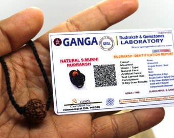 Certified 9 Mukhi Rudraksha Necklace, Nav Durga Yoga Jewelry