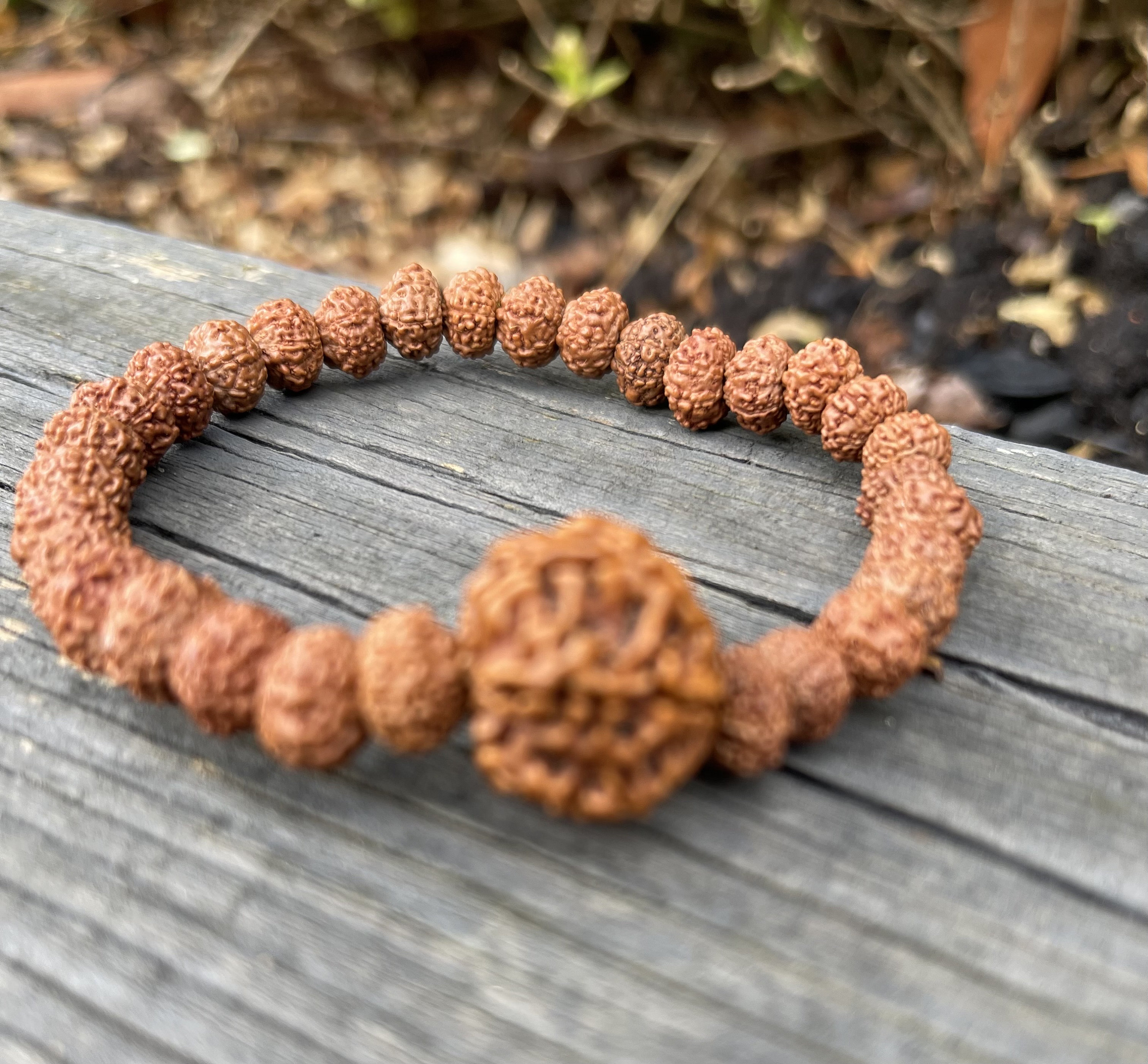 7 ムキ ルドラクシャ エラスティック ブレスレット、7 面ルドラクシャ