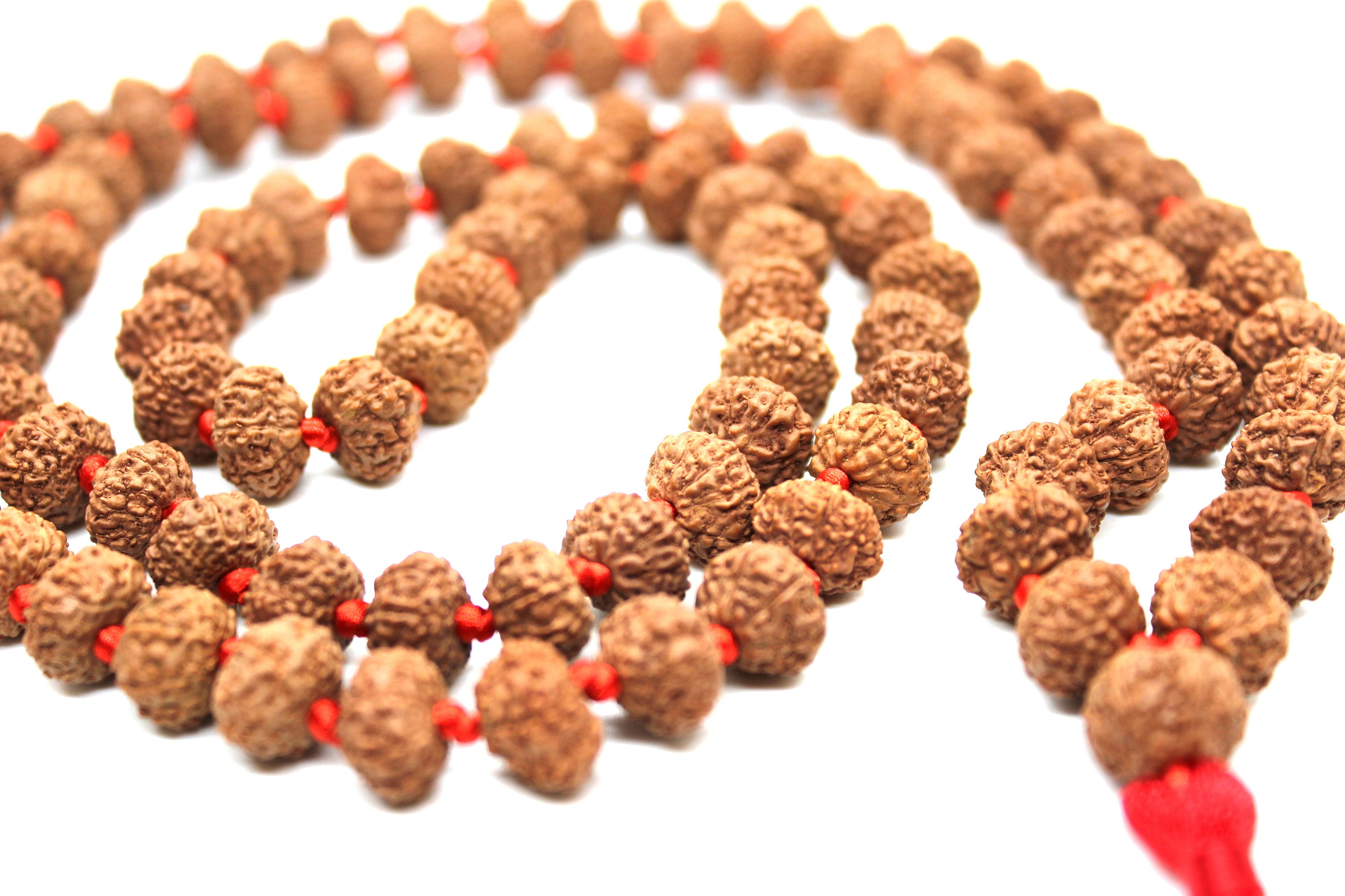9ムキ(面)ルドラクシャ10mm1連Rudraksha(M) レア・希少！特大！10面ルドラクシャ！圧倒的な輝き！浄化・開運