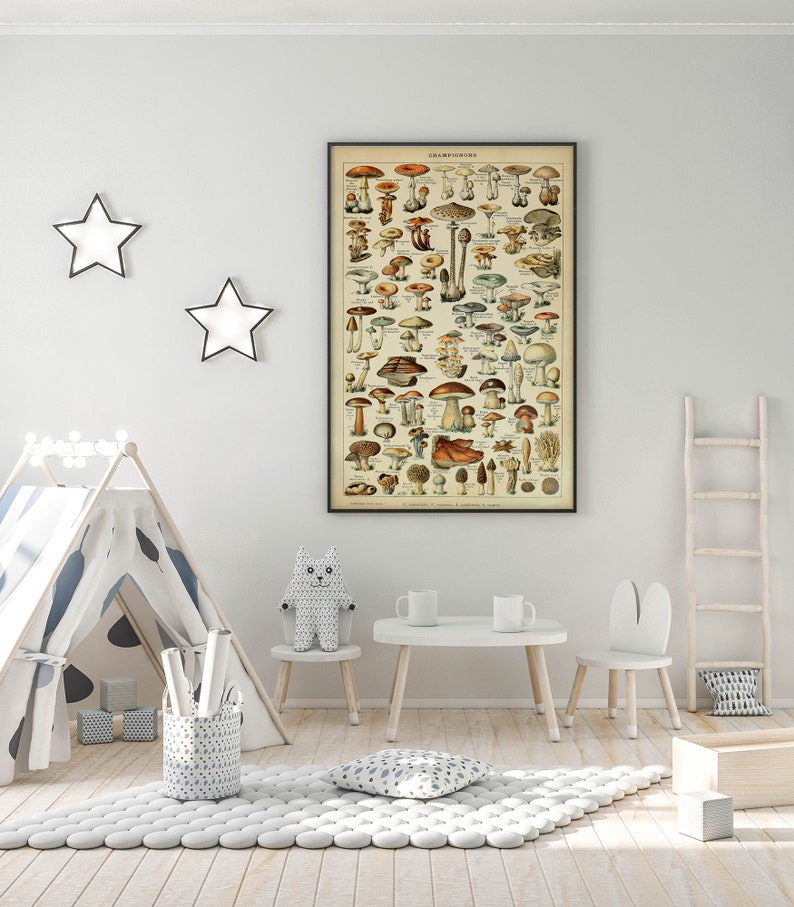 May include: A vintage illustration of various mushrooms, framed in black, hangs on a white wall in a child's playroom. The room features a white teepee, a white table and chairs, a white rug with gray polka dots, and a wooden ladder.