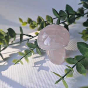 Rose quartz mushroom carving