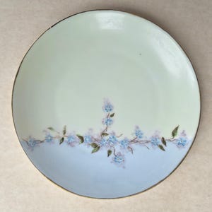 May include: A round ceramic plate featuring a two-tone color scheme with a pale green upper section and a light blue lower section. A delicate hand-painted floral vine with small blue flowers and green leaves extends horizontally across the center.