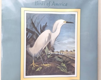 Calendrier Audubon Birds of America 1993, scellé, de la Huntington Library