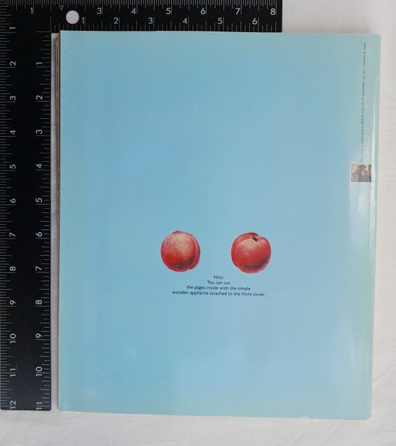 Nest Magazine 2003 Spring the Uncut Issue From Joseph Holtzman