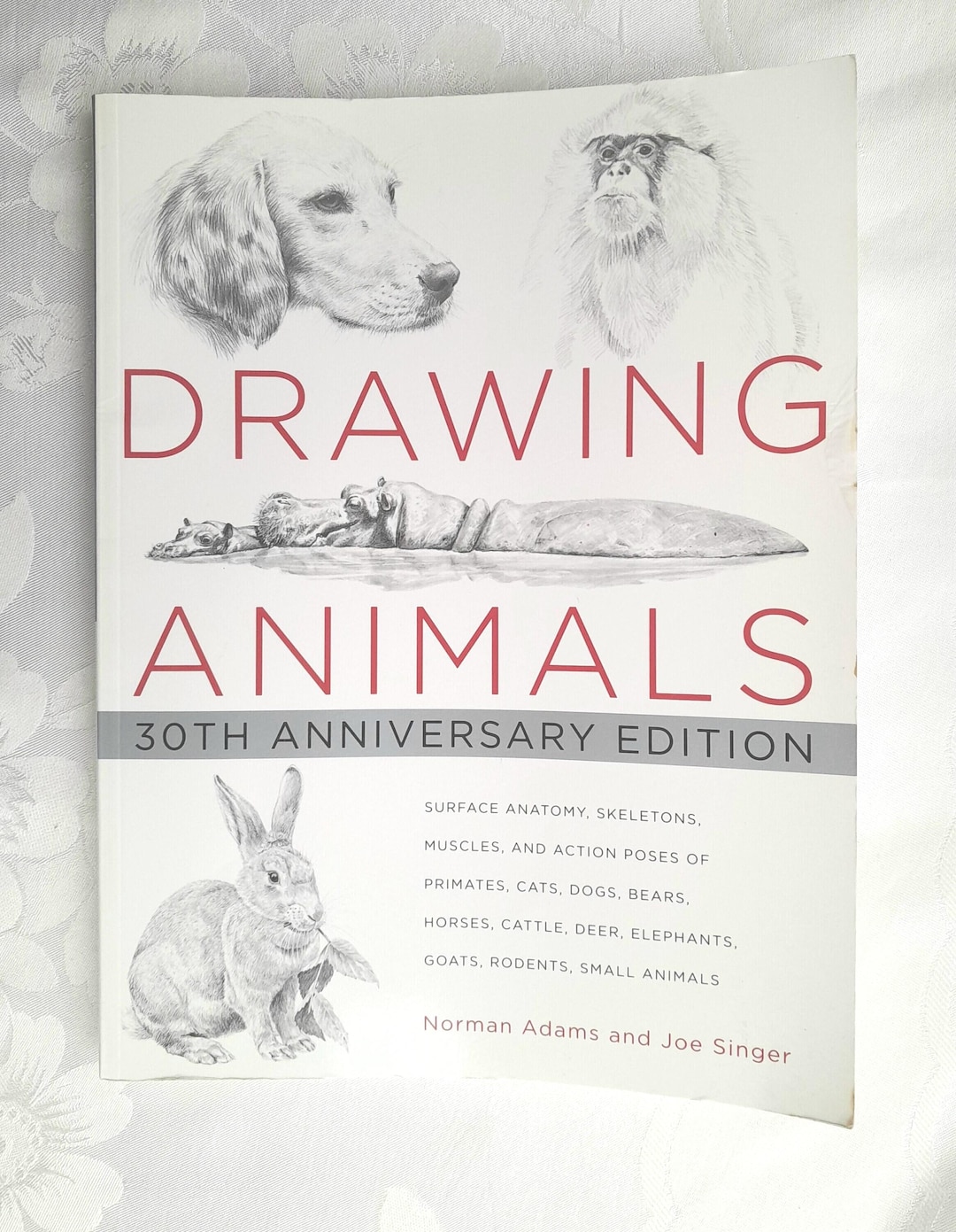 Drawing Animals by Norman Adams & Joe Singer, Softcover Book, 1979