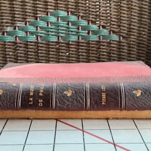 La Morte de Philae by Pierre Loti,  Original French 1900s  Distressed Rare Antique Book -scroll down for details
