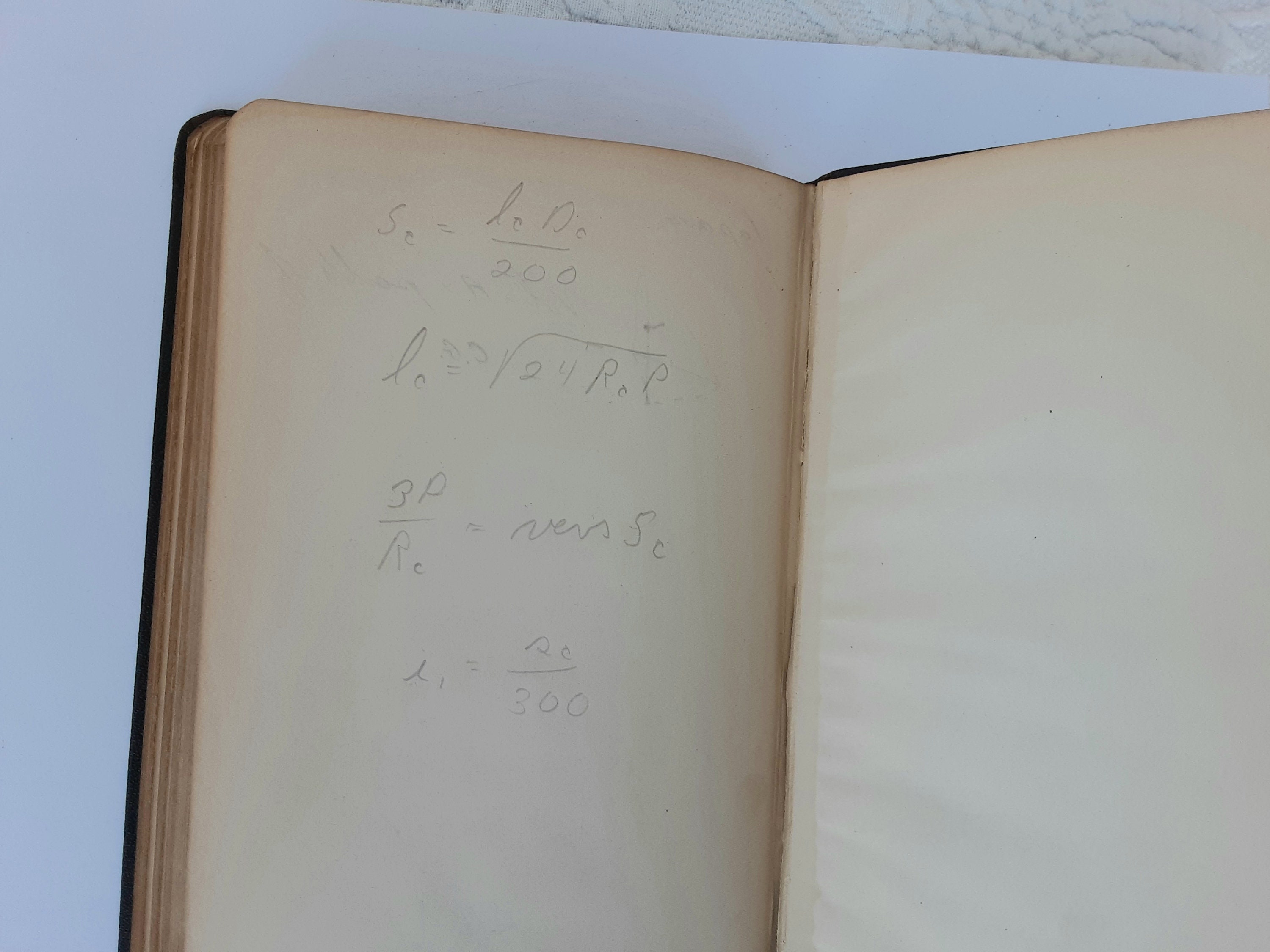 Earthwork plants essay picture