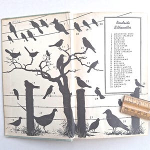 A Field Guide to the Birds by Roger Tory Peterson,  Species East of the Rockies,  1940s HC Classic Birder&#39;s Book -scroll for full details