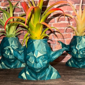May include: Three teal green geometric Yoda planters with air plants. The planters are made of a textured material and have a glossy finish.