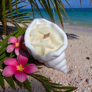 May include: A white seashell-shaped candle holder filled with a creamy wax. The wax is decorated with starfish, seahorse, and seashell-shaped wax figures. Pink flowers and green leaves are in the foreground, with a beach and ocean in the background.