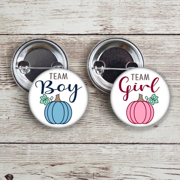 Team Girl and Team Boy Pumpkin gender reveal pins with pink and blue.  Perfect for fall or halloween themed party.