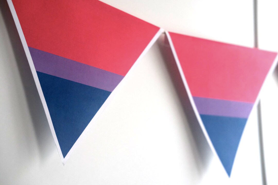 Bisexual Pride Bunting Flag, Triangle Bunting, Banner Display ...