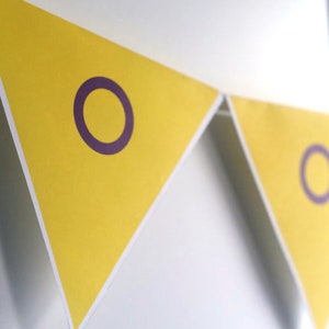 Intersex Pride Bunting Flag, Triangle Bunting, Banner Display Printables, Digital Download image 1