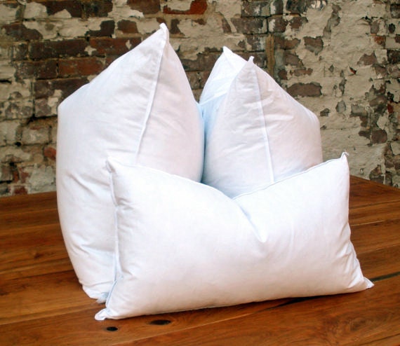 Feather down pillow inserts 90/10 16x16 18x18 20x20 22x22 24x24 26x26 28x28  Euro down insert Lumbar pillow insert