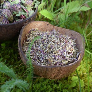 Red Clover Sprinkles / Dried Flower Petals