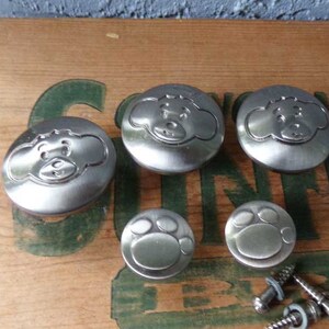 May include: Five silver cabinet knobs with a paw print and bear face design. The knobs are on a wooden surface.