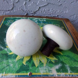 May include: Two white ceramic door knobs with a brown metal base. The knobs are round and have a smooth, glossy finish.