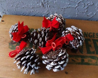 Pine Cone ornaments, pine cone christmas ornaments, pine cone ornaments, natural pine cones, miniature pine cone ornaments, set of 6