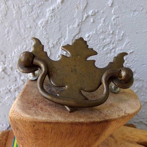 May include: A brass cabinet pull with a leaf design. The pull has a loop handle and two round knobs.